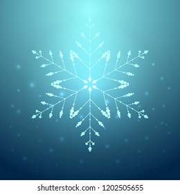 Snowflake isolated on the background