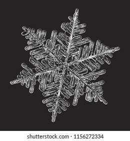 Snowflake isolated on black background. This vector illustration based on macro photo of real snow crystal: large stellar dendrite with hexagonal symmetry, complex, ornate shape and elegant arms.