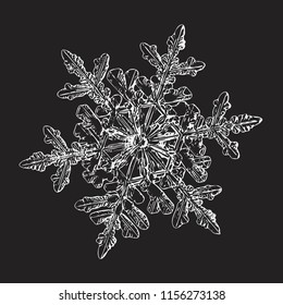 Schneeflocke einzeln auf schwarzem Hintergrund. Diese Vektorgrafik basiert auf einem Makrofoto aus echtem Schneekristall: kleine stellare Dendriten mit guter sechseckiger Symmetrie, eleganter Form und sechs dünnen, langen Armen.