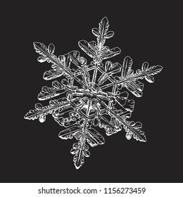 Snowflake isolated on black background. This vector illustration based on macro photo of real snow crystal: complex stellar dendrite with fine hexagonal symmetry, ornate shape and thin, elegant arms.