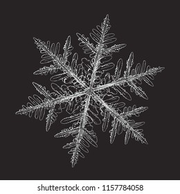Snowflake isolated on black background. This vector illustration based on macro photo of real snow crystal: beautiful stellar dendrite with hexagonal symmetry, complex shape and six elegant arms.