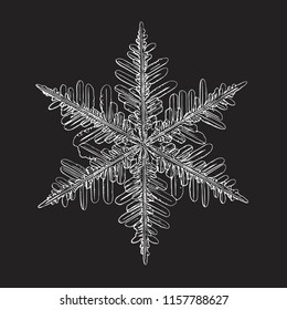 Snowflake isolated on black background. This vector illustration based on macro photo of real snow crystal: small stellar dendrite with good hexagonal symmetry, elegant shape and six thin, long arms.