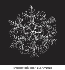 Snowflake isolated on black background. This vector illustration based on macro photo of real snow crystal: complex stellar dendrite with fine hexagonal symmetry, ornate shape and thin, elegant arms.
