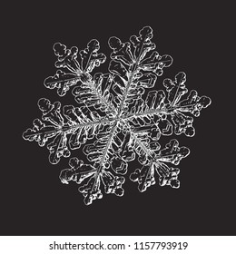 Snowflake isolated on black background. This vector illustration based on macro photo of real snow crystal: large stellar dendrite with hexagonal symmetry, complex, ornate shape and elegant arms.