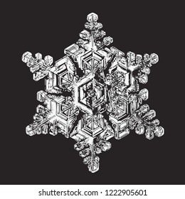 Snowflake isolated on black background. Vector illustration based on macro photo of real snow crystal: elegant star plate with fine hexagonal symmetry, six short, broad arms and complex inner details.