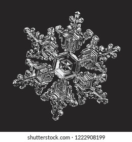 Snowflake isolated on black background. Vector illustration based on macro photo of real snow crystal: large stellar dendrite with hexagonal symmetry, complex ornate shape and glossy relief surface.