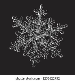 Snowflake isolated on black background. Vector illustration based on macro photo of real snow crystal: beautiful stellar dendrite with hexagonal symmetry, complex ornate shape and six elegant arms.