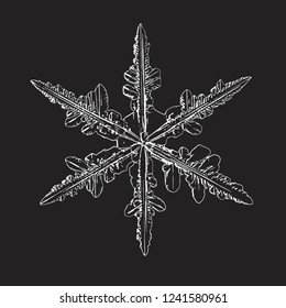 Snowflake isolated on black background. Vector illustration based on macro photo of real snow crystal: large stellar dendrite with fine hexagonal symmetry, complex ornate shape and six elegant arms.
