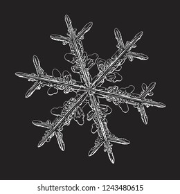 Snowflake isolated on black background. Vector illustration based on macro photo of real snow crystal: elegant stellar dendrite with hexagonal symmetry, ornate shape and complex inner details.