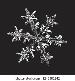 Snowflake isolated on black background. Vector illustration based on macro photo of real snow crystal: elegant stellar dendrite with hexagonal symmetry, complex ornate shape and beautiful details.