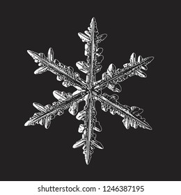 Snowflake isolated on black background. Vector illustration based on macro photo of real snow crystal: beautiful stellar dendrite with complex, elegant arms, ornate shape and glossy, relief surface.