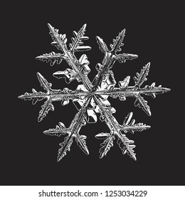 Snowflake isolated on black background. Vector illustration based on macro photo of real snow crystal: elegant stellar dendrite with hexagonal symmetry, complex ornate shape and intricate details.