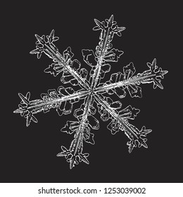 Snowflake isolated on black background. Vector illustration based on macro photo of real snow crystal: beautiful stellar dendrite with beautiful elegant arms, complex ornate shape and glowing contour.