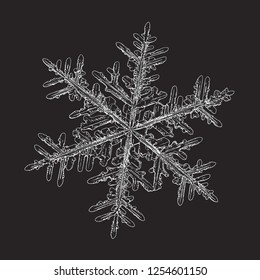 Snowflake isolated on black background. Vector illustration based on macro photo of real snow crystal: elegant stellar dendrite with hexagonal symmetry, complex ornate shape and beautiful details.
