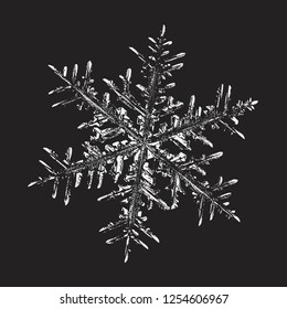 Snowflake isolated on black background. Vector illustration based on macro photo of real snow crystal: beautiful stellar dendrite with complex, elegant arms, ornate shape and glossy, relief surface.