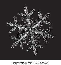 Snowflake isolated on black background. Vector illustration based on macro photo of real snow crystal: elegant stellar dendrite with hexagonal symmetry, complex ornate shape and intricate details.
