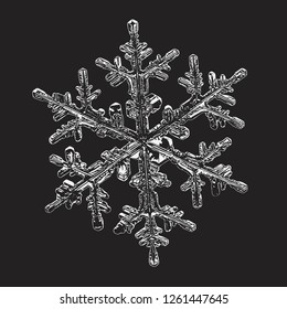 Snowflake isolated on black background. Vector illustration based on macro photo of real snow crystal: beautiful stellar dendrite with complex, elegant arms, ornate shape and glossy, relief surface.
