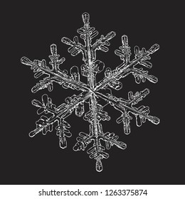 Snowflake isolated on black background. Vector illustration based on macro photo of real snow crystal: elegant stellar dendrite with hexagonal symmetry, complex ornate shape and intricate details.
