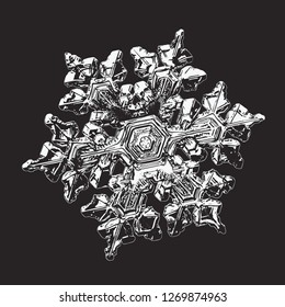 Snowflake isolated on black background. Vector illustration based on macro photo of real snow crystal: beautiful stellar dendrite with complex, elegant arms, ornate shape and glossy, relief surface.