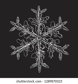Snowflake isolated on black background. Vector illustration based on macro photo of real snow crystal: elegant stellar dendrite with hexagonal symmetry, complex ornate shape and intricate details.