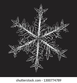 Snowflake isolated on black background. Vector illustration based on macro photo of real snow crystal: elegant stellar dendrite with hexagonal symmetry, complex ornate shape and intricate pattern.