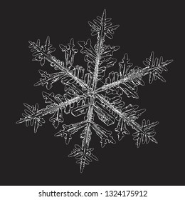 Snowflake isolated on black background. Vector illustration based on macro photo of real snow crystal: elegant stellar dendrite with hexagonal symmetry, complex ornate shape and beautiful details.