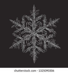 Snowflake isolated on black background. Vector illustration based on macro photo of real snow crystal: elegant stellar dendrite with hexagonal symmetry, complex ornate shape and intricate details.