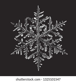 Snowflake isolated on black background. Vector illustration based on macro photo of real snow crystal: beautiful stellar dendrite with complex, elegant arms, ornate shape and glossy, relief surface.