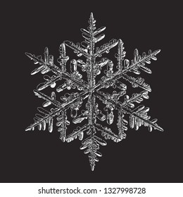 Snowflake isolated on black background. Vector illustration based on macro photo of real snow crystal: elegant stellar dendrite with hexagonal symmetry, complex ornate shape and intricate details.