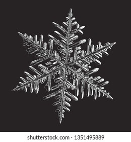Snowflake isolated on black background. Vector illustration based on macro photo of real snow crystal: beautiful stellar dendrite with complex, elegant arms, ornate shape and glossy, relief surface.