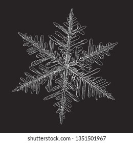 Snowflake isolated on black background. Vector illustration based on macro photo of real snow crystal: elegant stellar dendrite with hexagonal symmetry, complex ornate shape and intricate details.