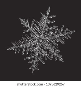 Snowflake isolated on black background. Vector illustration based on macro photo of real snow crystal: elegant stellar dendrite with hexagonal symmetry, complex ornate shape and intricate details.