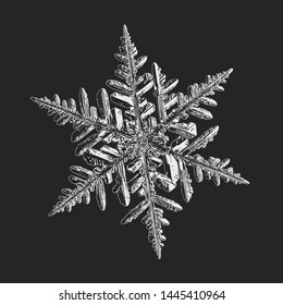 Snowflake isolated on black background. Vector illustration based on real snow crystal at high magnification: elegant stellar dendrite with thin complex arms, ornate shape and glossy, relief surface.