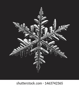 Snowflake isolated on black background. Vector illustration based on real snow crystal at high magnification: elegant stellar dendrite with thin complex arms, ornate shape and glossy, relief surface.