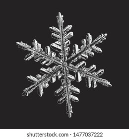 Snowflake isolated on black background. Vector illustration based on macro photo of real snow crystal: beautiful stellar dendrite with complex, elegant arms, ornate shape and glossy, relief surface.