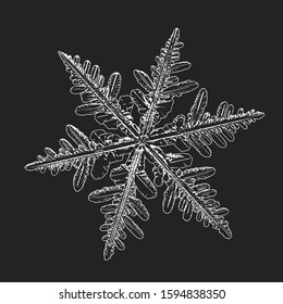 Snowflake isolated on black background. Vector illustration based on real snow crystal at high magnification: elegant stellar dendrite with six thin, fragile arms, ornate shape and complex details.