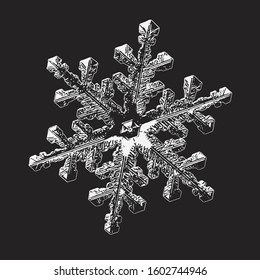 Snowflake isolated on black background. Vector illustration based on real snow crystal at high magnification: elegant stellar dendrite with flat, ornate arms, complex structure and glossy surface.