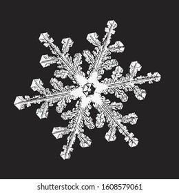 Snowflake isolated on black background. Vector illustration based on real snow crystal at high magnification: elegant stellar dendrite with six flat, fragile arms, ornate shape and complex details.