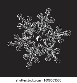 Snowflake isolated on black background. Vector illustration based on real snow crystal at high magnification: elegant stellar dendrite with fine hexagonal symmetry, ornate shape and complex details.