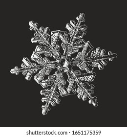 Sombrero aislado en fondo negro. Ilustración vectorial basada en cristales de nieve reales a gran aumento: elegante dendrita estelar con brazos planos, ornamentados, estructura compleja y superficie brillante.
