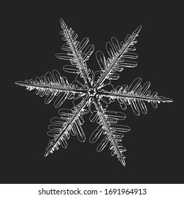 Schneeflocke einzeln auf schwarzem Hintergrund. Vektorillustration auf der Grundlage von Schneekristall bei hoher Vergrößerung: Elegantes stellares Dendrite mit sechs dünnen, zerbrechlichen Armen, orangefarbener Form und komplexen Details.