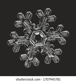 Snowflake isolated on black background. Vector illustration based on real snow crystal at high magnification: elegant stellar dendrite with six thin, fragile arms, ornate shape and complex details.