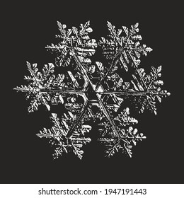 El copo de nieve aislado en el fondo negro. Ilustración vectorial basada en cristal de nieve real a alta ampliación: elegante dendrita estelar con finas simetrías hexagonales, formas ornamentales y detalles complejos.