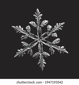 El copo de nieve aislado en el fondo negro. Ilustración vectorial basada en cristal de nieve real a alta ampliación: elegante dendrita estelar con brazos planos, ornamentados, estructura compleja y superficie brillante.
