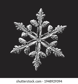 El copo de nieve aislado en el fondo negro. Ilustración vectorial basada en cristal de nieve real a alta ampliación: elegante dendrita estelar con seis brazos delgados y frágiles, forma ornamentada y detalles complejos.