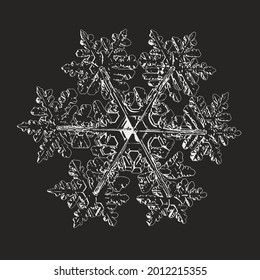 Schneeflocke einzeln auf schwarzem Hintergrund. Vektorgrafik auf der Grundlage von echtem Schneekristall bei hoher Vergrößerung: Elegantes stellares Dendrite mit sechs dünnen, zerbrechlichen Armen, orangefarbener Form und komplexen Details.