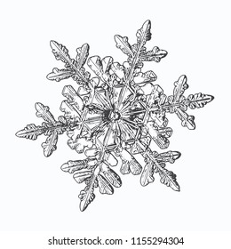 Snowflake isolated on white background. This vector illustration based on macro photo of real snow crystal: complex stellar dendrite with fine hexagonal symmetry, ornate shape and thin, elegant arms.