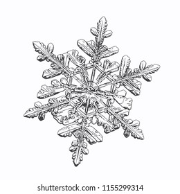 Snowflake isolated on white background. This vector illustration based on macro photo of real snow crystal: small stellar dendrite with good hexagonal symmetry, elegant shape and six thin, long arms.