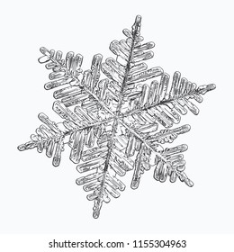 Snowflake isolated on white background. This vector illustration based on macro photo of real snow crystal: large stellar dendrite with hexagonal symmetry, complex, ornate shape and elegant arms.