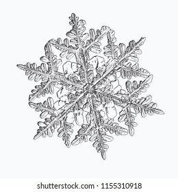 Snowflake isolated on white background. This vector illustration based on macro photo of real snow crystal: beautiful stellar dendrite with hexagonal symmetry, complex shape and six elegant arms.